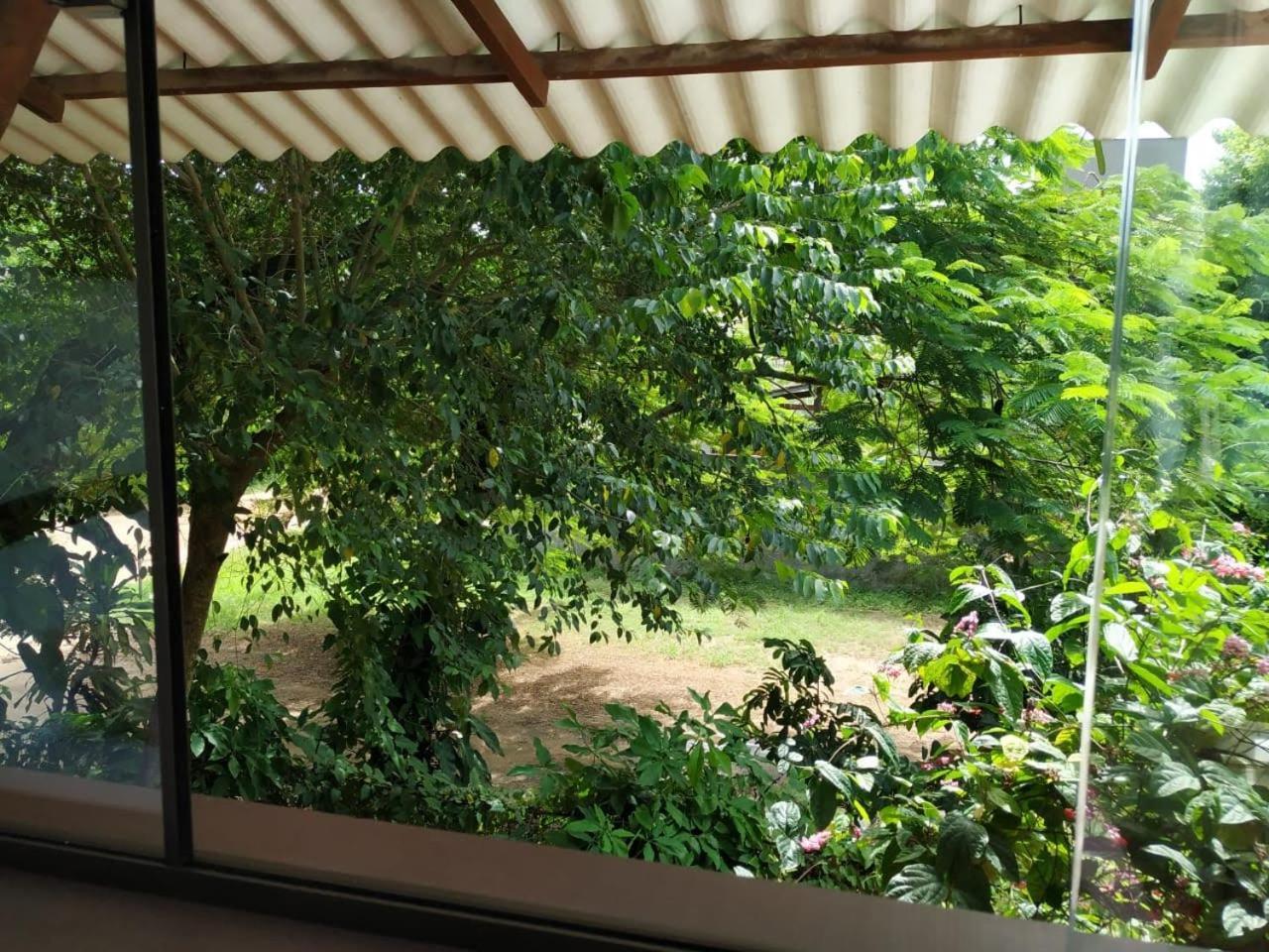 Quintal Do Conteiner - Suite Mar E Suite Terra Manguinhos  Rum bild